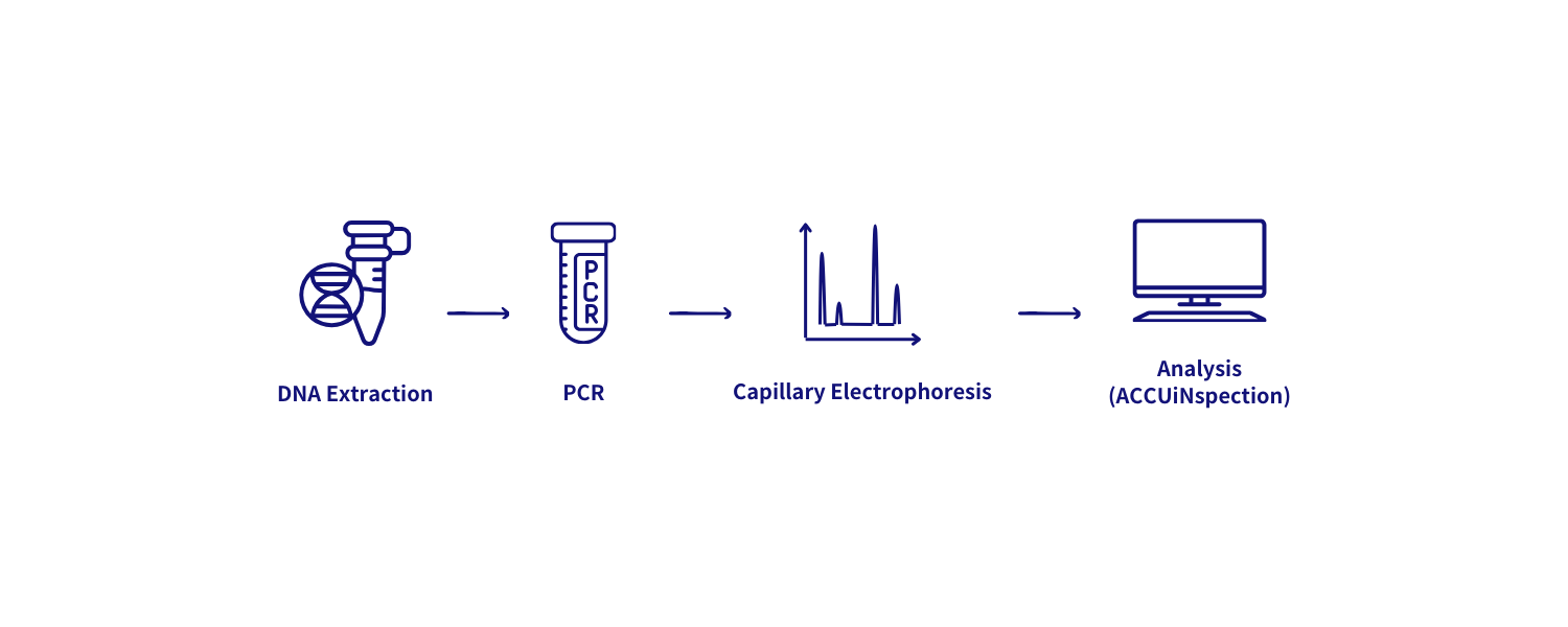 安奕遺傳性血鐵沈積症篩檢試劑盒 流程圖